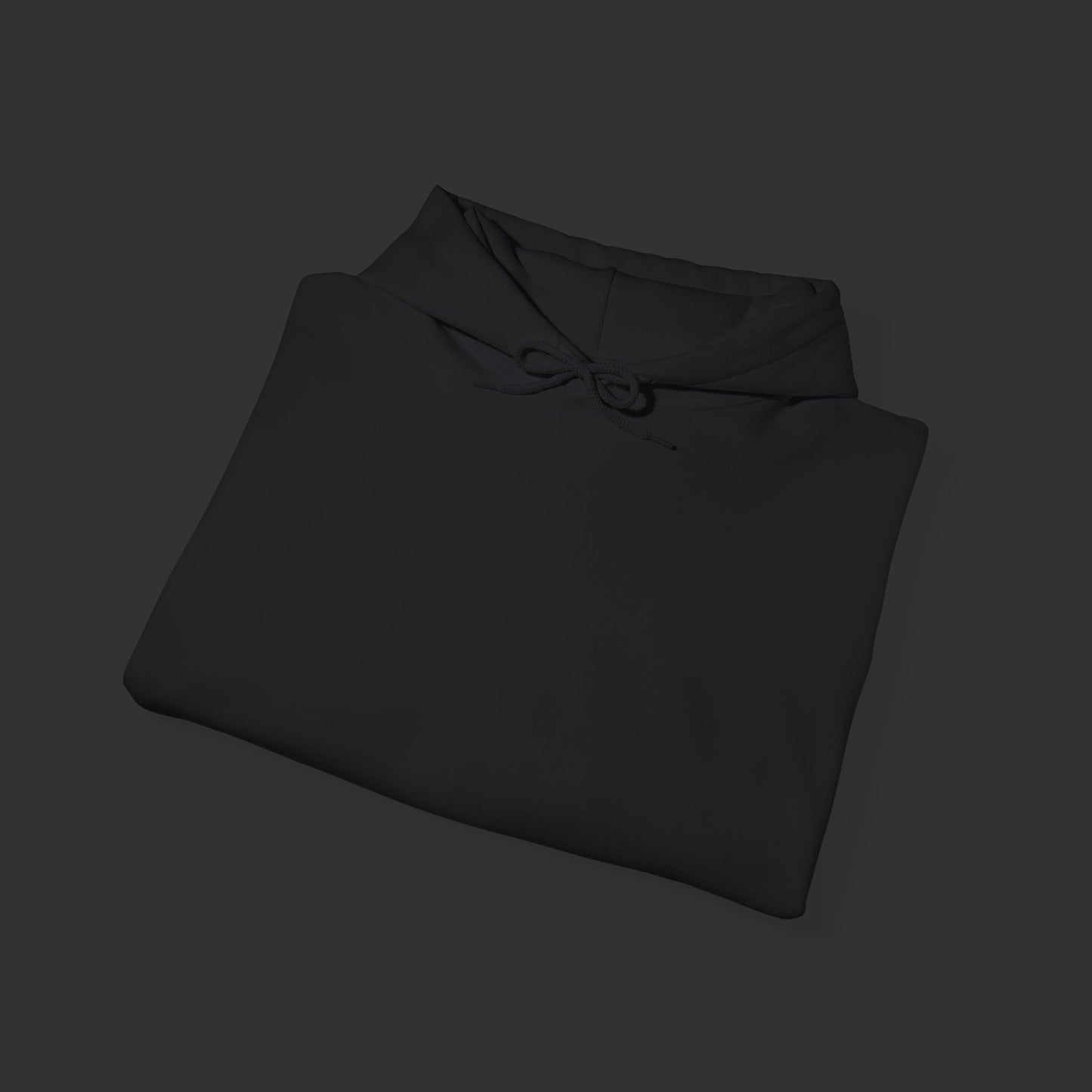 Bike Life Series - Advanced Riders Course DS Hoodie