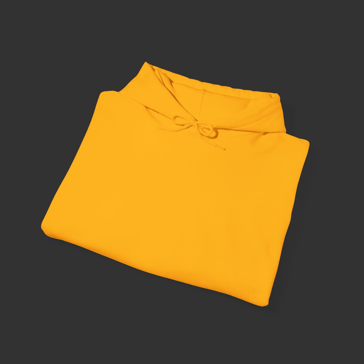 Bike Life Series - Advanced Riders Course Gustaf WD Hoodie