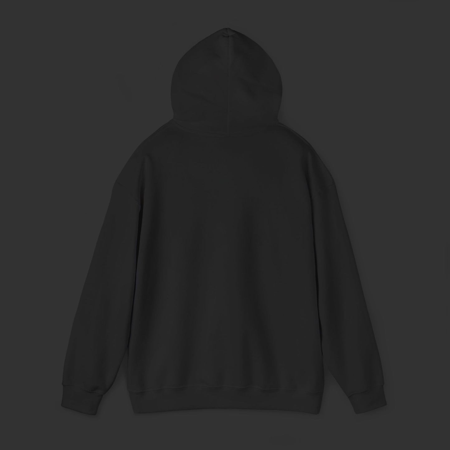 Rifleman Series - Modern Rifleman DS Hoodie
